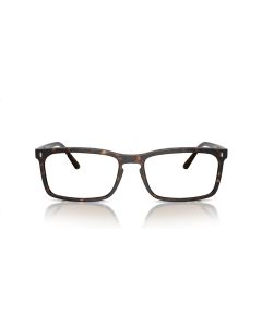 Ray Ban 0RB4435  ( LARGE SIZE)Havana